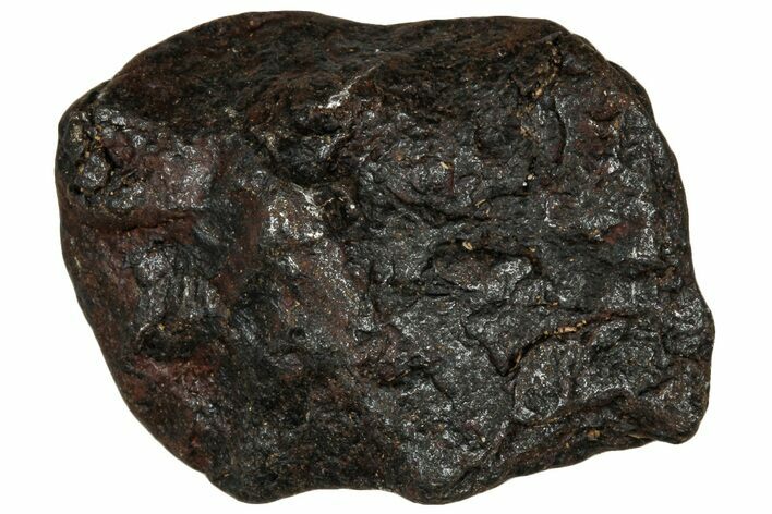 Canyon Diablo Iron Meteorite ( g) - Arizona #303522